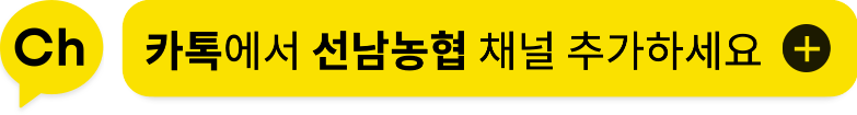 카카오톡 채널 친구추가
